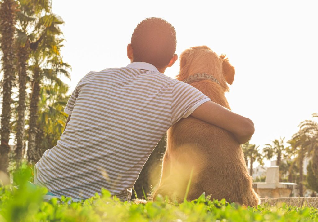 how love impacts dog behavior