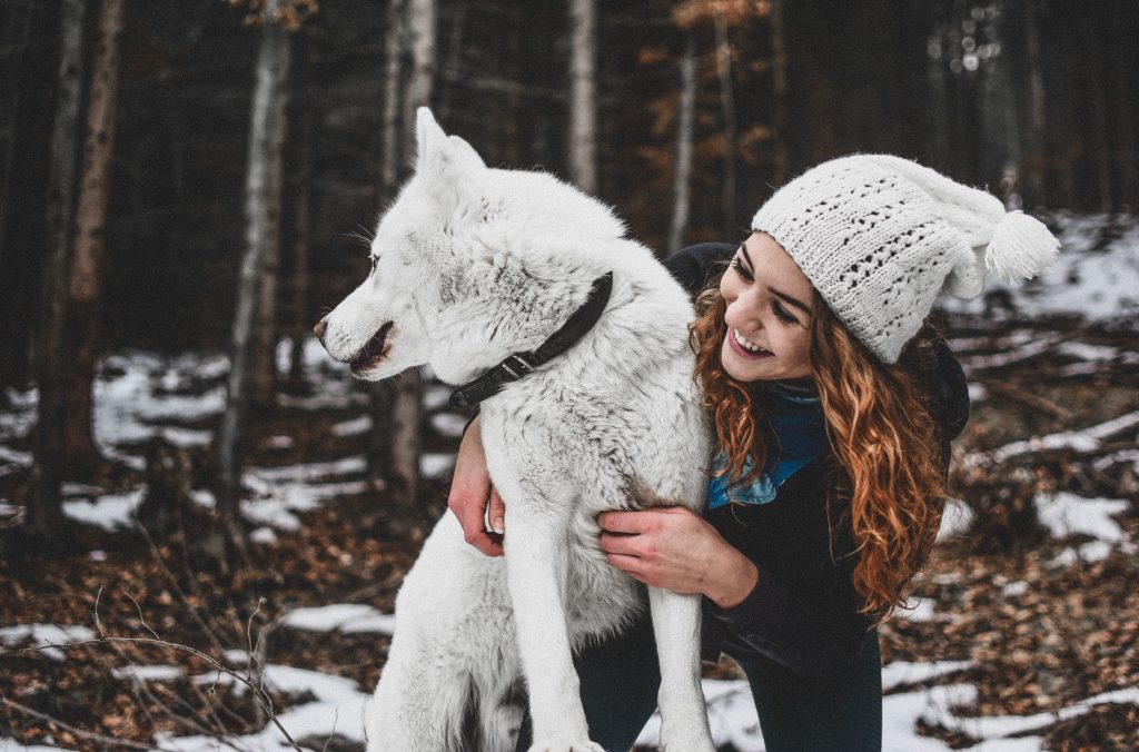 Emotional Bond Between Humans and Dogs